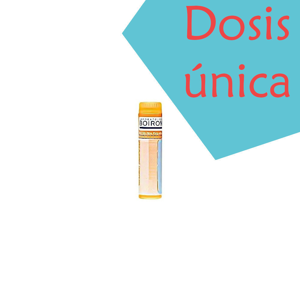 CALCAREA CARBONICA CALCIUM CARBONICUM OSTRE 15 CH 15CH GLOBULOS TUBO DOSIS BOIRON