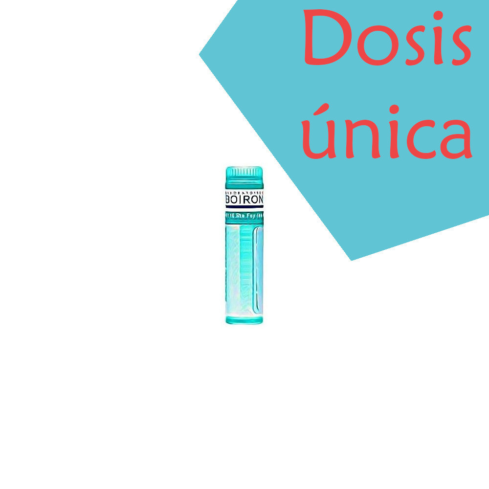 NUX VOMICA 1.000 K (MK) (1.000K (MK)) GLOBULOS (TUBO DOSIS) BOIRON