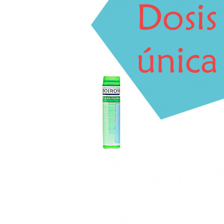 Comprar online PYROGENIUM 5 CH (5CH) GLOBULOS (TUBO DOSIS) BOIRON