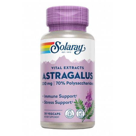 Comprar online ASTRAGALUS ROOT EXTRACT 200MG 30 CAP VEG SOLARAY