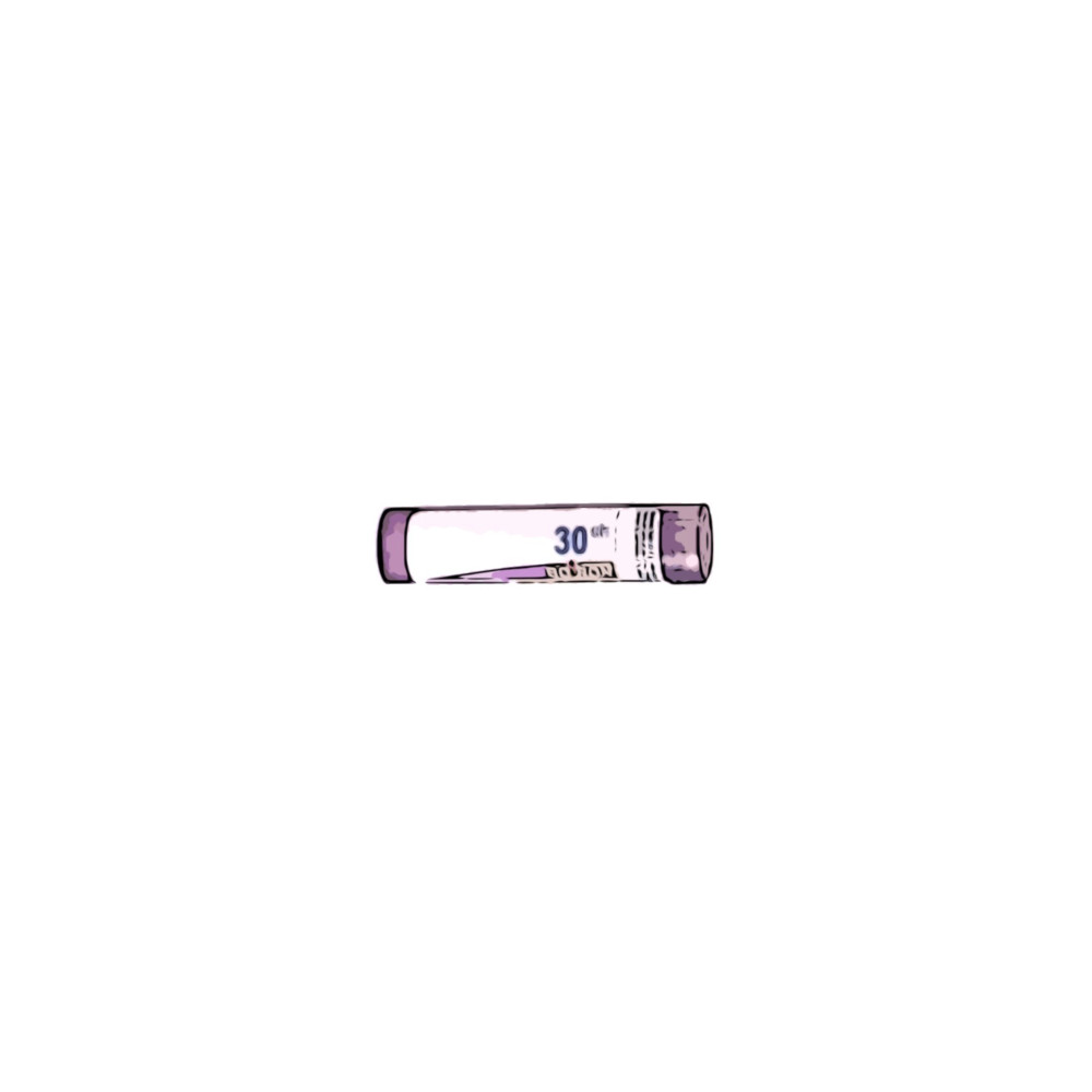 Comprar online AMBRA GRISEA 30 CH (30CH) GRANULOS 4 GR BOIRON - Farmacia Coliseum