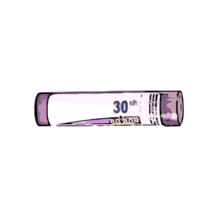 Comprar online AMBRA GRISEA 30 CH (30CH) GRANULOS 4 GR BOIRON - Farmacia Coliseum