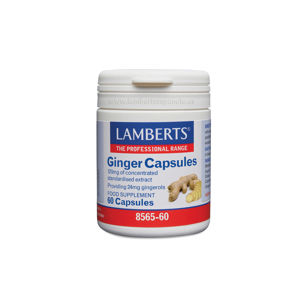 Comprar online JENGIBRE 60 CAP (GINGER) LAMBERTS - Farmacia Coliseum