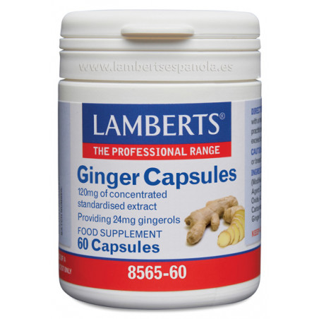 Comprar online JENGIBRE 60 CAP (GINGER) LAMBERTS - Farmacia Coliseum