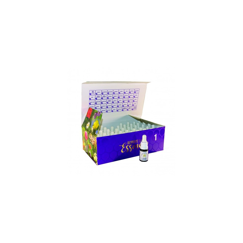 Comprar online SAINT GERMAIN SET 45 ESENCIAS MODULO I SAINT GERMAIN