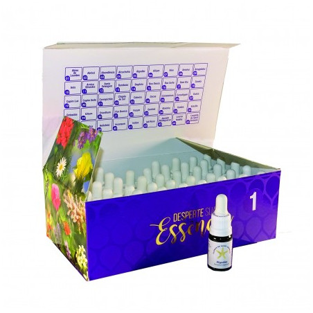 Comprar online SAINT GERMAIN SET 45 ESENCIAS MODULO I SAINT GERMAIN