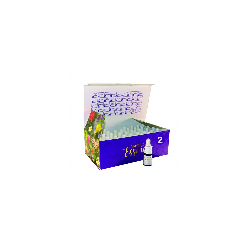 Comprar online SAINT GERMAIN SET 45 ESENCIAS MODULO II SAINT GERMAIN