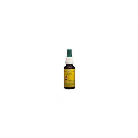 Comprar WILLOW 20 ML MEDITERRANEO online - Farmacia Coliseum