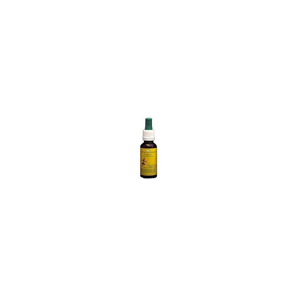 Comprar WILD ROSE 20 ML MEDITERRANEO online - Farmacia Coliseum