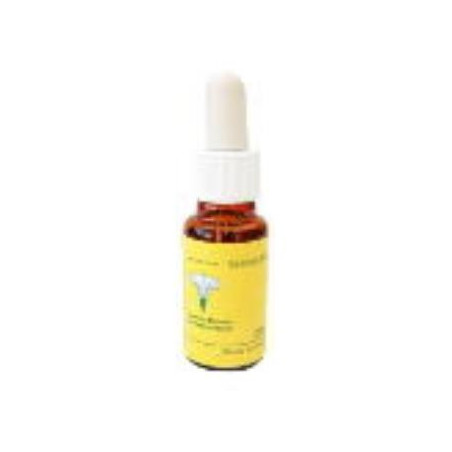 Comprar SCLERANTHUS 20 ML MEDITERRANEO online - Farmacia Coliseum