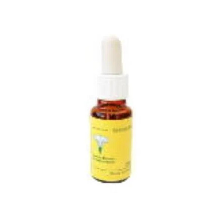 Comprar MUSTARD 20 ML MEDITERRANEO online - Farmacia Coliseum