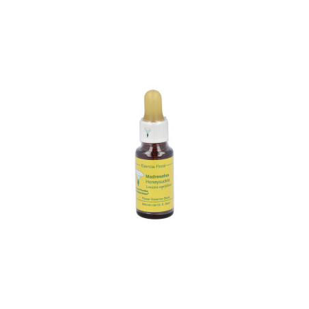 Comprar online HONEYSUCKLE 20 ML MEDITERRANEO - Farmacia Coliseum