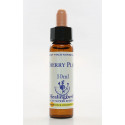 E.F. CHERRY PLUM 10 ML.