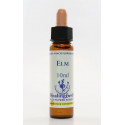 E.F. ELM 10 ML.