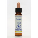 E.F. GORSE 10 ML.