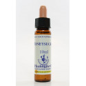 E.F. HONEYSUCKLE 10 ML.