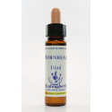E.F. HORNBEAM 10 ML.