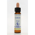 E.F. LARCH 10 ML.