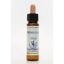 E.F. MIMULUS 10 ML.