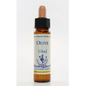 E.F. OLIVE 10 ML.