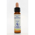 E.F. RED CHESTNUT 10 ML.