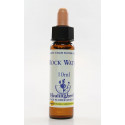 E.F. ROCK WATER 10 ML.