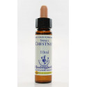 E.F. SWEET CHESTNUT 10 ML