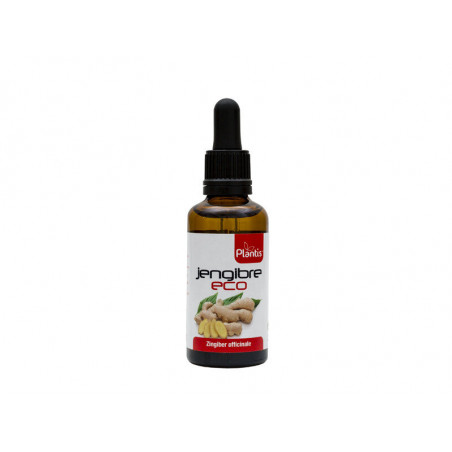 Comprar JENGIBRE ECO EXT 50 ML ARTESANIA AGRICOLA online - Farmacia Coliseum