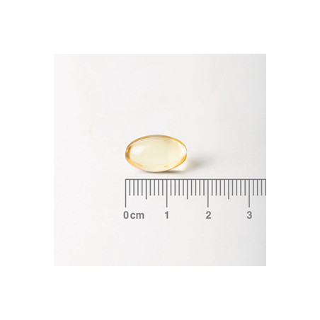 Comprar VEGAN DHA 250MG 60 CAPS LAMBERTS online - Farmacia Coliseum