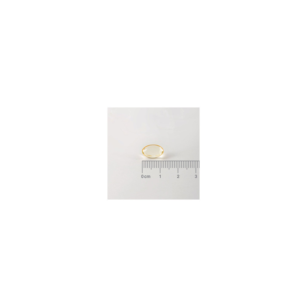 Comprar online VEGAN VITAMINA D3 1000UI 90 CAP LAMBERTS - Coliseum