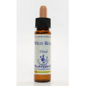 E.F. WILD ROSE 10 ML.