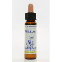 E.F. WILLOW 10 ML.