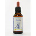 E.F. BEECH 30 ML.