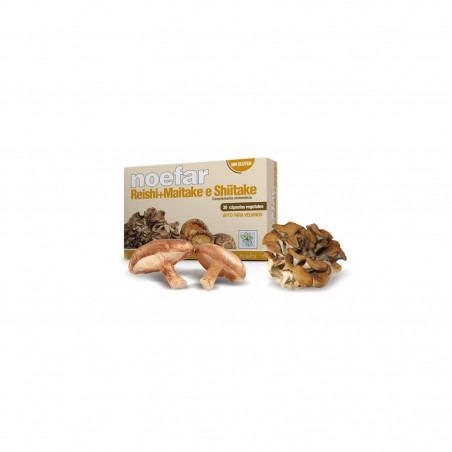 Comprar REISHI SHIITAKE MAITAKE 30 CAP NOEFAR - Farmacia Coliseum