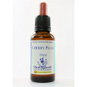 E.F. CHERRY PLUM 30 ML.