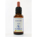 E.F. CHICORY 30 ML.