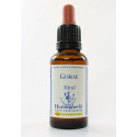 E.F. GORSE 30 ML.