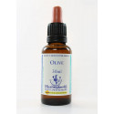 E.F. OLIVE 30 ML.