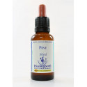 E.F. PINE 30 ML.