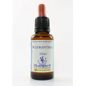E.F. SCLERANTHUS 30 ML