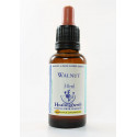 E.F. WALNUT 30 ML.