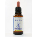 E.F. WILD ROSE 30 ML.