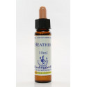E.F. HEATHER 10 ML.