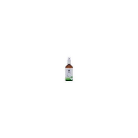 Comprar E.F. SPACE CLEARING 100 ML AUSTRALIA BUSH - Farmacia Coliseum