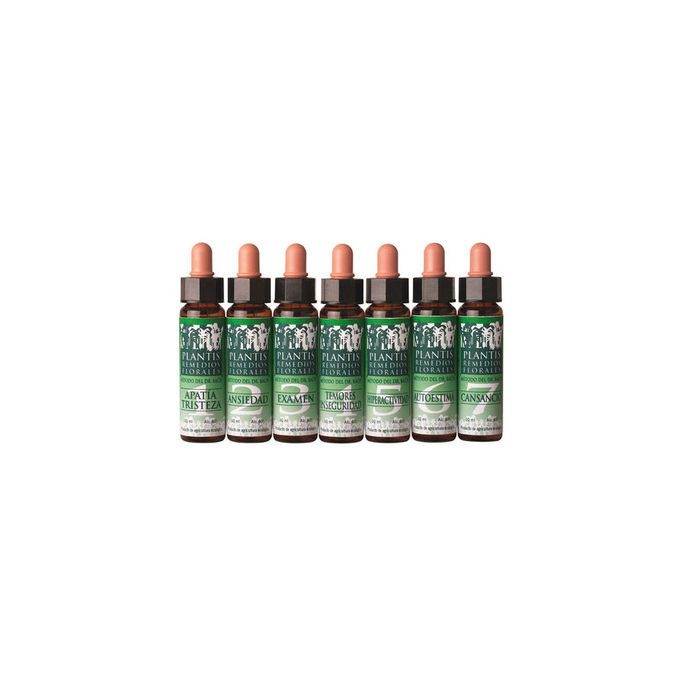 REMEDIO FLORAL 4 TEMORES INSEGURIDADES ECO PLANTIS ARTESANIA AGRICOLA