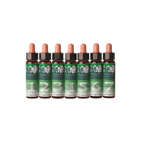 REMEDIO FLORAL 4 TEMORES INSEGURIDADES ECO PLANTIS ARTESANIA AGRICOLA