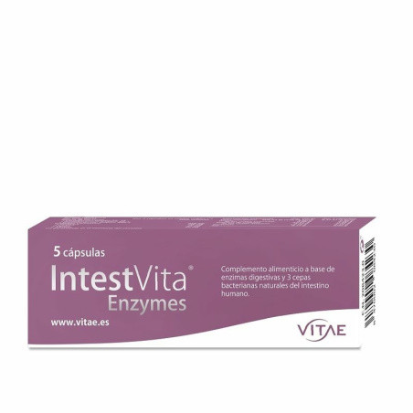 Comprar INTESTVITA ENZYMES 5 CAP VITAE online - Farmacia Coliseum