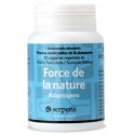 FORCE DE LA NATURE (PFAFFIA PANICULATA) 90 CAPS. ABORIGEN