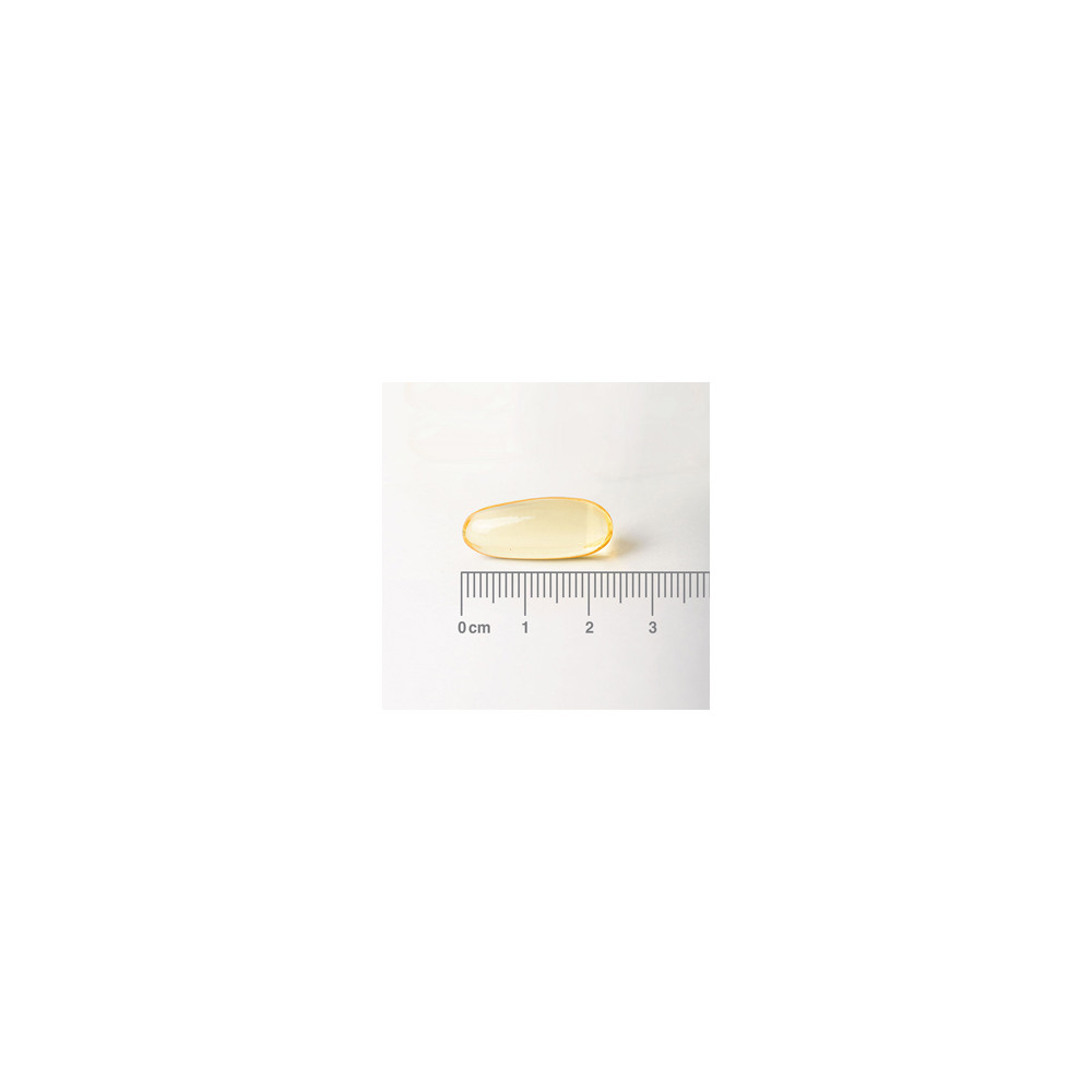 Comprar online PRIMULA (EVENING PRIMROSE) 1000 MG 90 CAP LAMBERTS