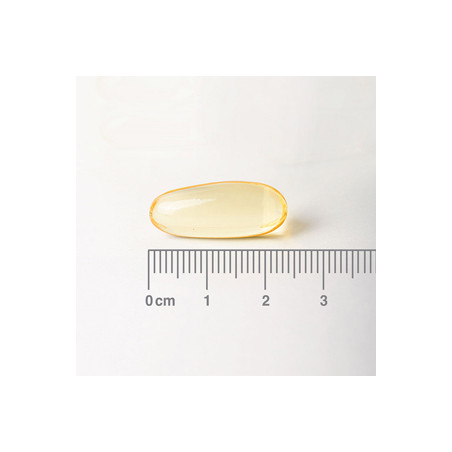 Comprar online PRIMULA (EVENING PRIMROSE) 1000 MG 90 CAP LAMBERTS